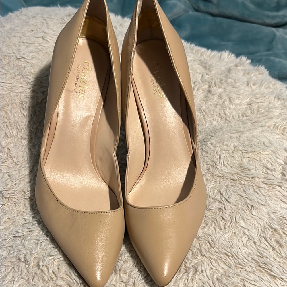Charles Beige Stilettos